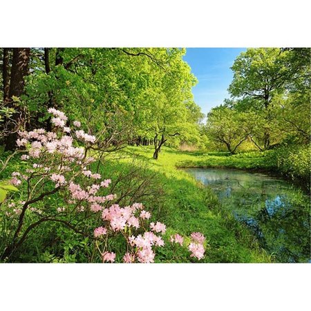 BREWSTER HOME FASHIONS Park In The Spring Wall Mural 100 in DM136